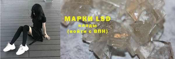 прущие грибы Абинск
