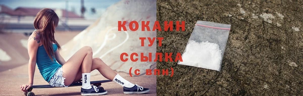 метадон Ельня