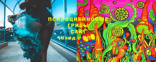 ПСИЛОЦИБИНОВЫЕ ГРИБЫ Михайловка