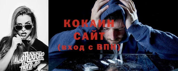 гидра Михайловск